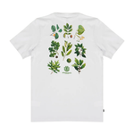 Camiseta Element  Big Foot Trees