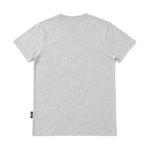 Camiseta Juvenil  Santa Cruz Screaming Hand Fusion Cinza