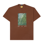 Camiseta Class Acai Marrom