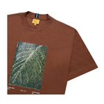Camiseta Class Acai Marrom