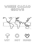 Livro: My first Chocolate Coloring book (Inglês)