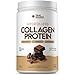 Collagen Protein Hidrolisado Body Balance 450g - True Source (Chocolate Belga)