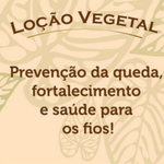 SHAMPOO LOCAO VEGETAL 300ML BM
