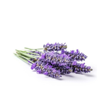 SABONETE REFIL LAVANDA 400ML HIDRAMAIS 
