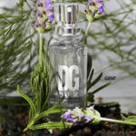 PERFUME DALGE MASCULINO CONTRATIPO GENT