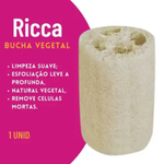 BUCHA VEGETAL NATURAL PEDACO 14CM   3417