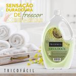 Sabonete Líquido Erva Doce Tricofácil 2l
