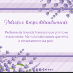Sabonete Líquido Lavanda Francesa 2l Tricofácil