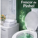 PEDRA SANITÁRIA  SANOL PINHO 27g 2503