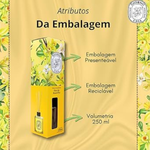 DIFUSOR DE AMBIENTES GIORNO CASA FLOR DE BAUNILHA 250ML 10277