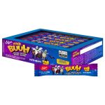 BALA BUHH BAR MASTIGÁVEL ERLAN TUTTI FRUTTI 12G 40 UNIDADES 116002