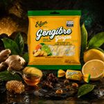 BALA MASTIGÁVEL ERLAN GENGIBRE PROP MEL LIMAO 400G 112232