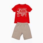 CONJUNTO BRANDILI 371950