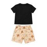 CONJUNTO BRANDILI 37082
