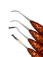 KIT ESPÁTULAS DE RESINA - By: Prof. Adriana Junqueira