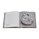 Michelangelo, Leonardo, Raphael: Florence, C. 1504