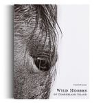 Wild Horses of Cumberland Island: Anouk Masson Krantz