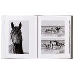 Wild Horses of Cumberland Island: Anouk Masson Krantz
