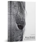 Wild Horses of Cumberland Island: Anouk Masson Krantz