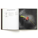 D.O.M. Rediscovering Brazilian Ingredients