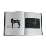 Untamed Spirits: Horses From Around The World