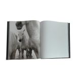 Untamed Spirits: Horses From Around The World