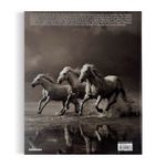 Untamed Spirits: Horses From Around The World