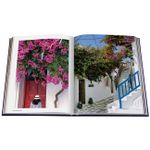 Mykonos Muse