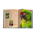 Enciclopedia do Mundo Animal
