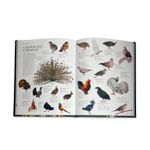 Enciclopedia do Mundo Animal