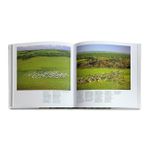 Brazilian Agribusiness/ Agronegocio Brasileiro / Bilingue