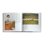 Brazilian Agribusiness/ Agronegocio Brasileiro / Bilingue