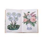 Dahlias - A Little Book of Flowers