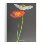 Flowers - Art & Bouquets