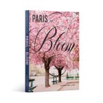 Paris In Bloom