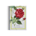 Roses - 100 Postcards From The Archives of The New York Botanical Garden