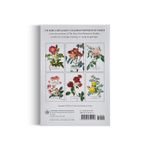 Roses - 100 Postcards From The Archives of The New York Botanical Garden