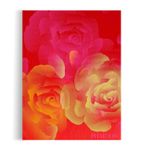 The Rose Book