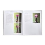 The Tulip Garden