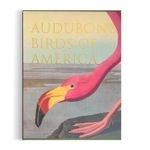 Audubon s Birds Of America