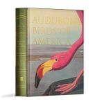 Audubon s Birds Of America
