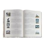 Audubon s Birds Of America