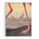 Audubon s Birds Of America