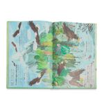 The Big Book Of Birds: 0