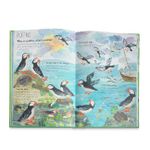 The Big Book Of Birds: 0