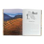 Wine & Travel United States Of America