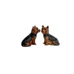 Saleiro e Pimenteiro Yorkshire Terrier