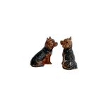 Saleiro e Pimenteiro Yorkshire Terrier