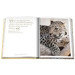 Arabian Leopard