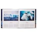 Ocean: Exploring The Marine World